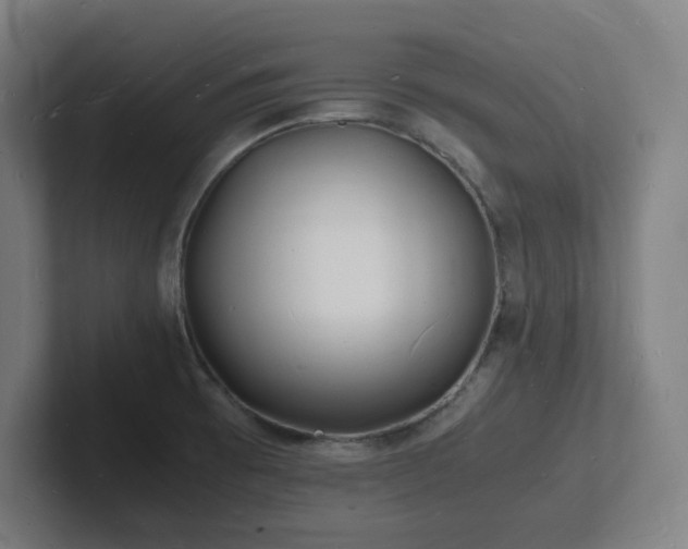 X0000102781473200808181139