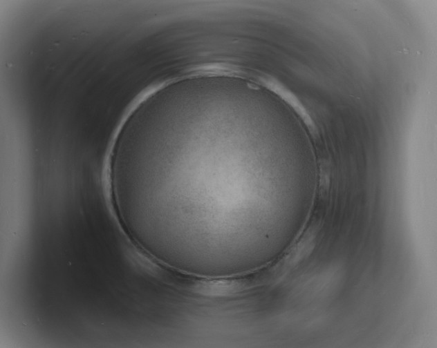 X0000102781474200808181139