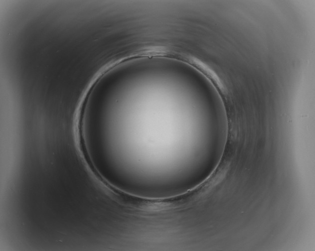 X0000102781475200808181139