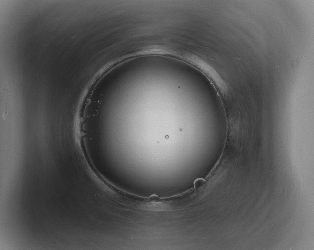 X0000102781476200808181139