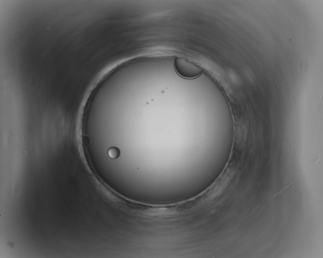 X0000102781478200808181139