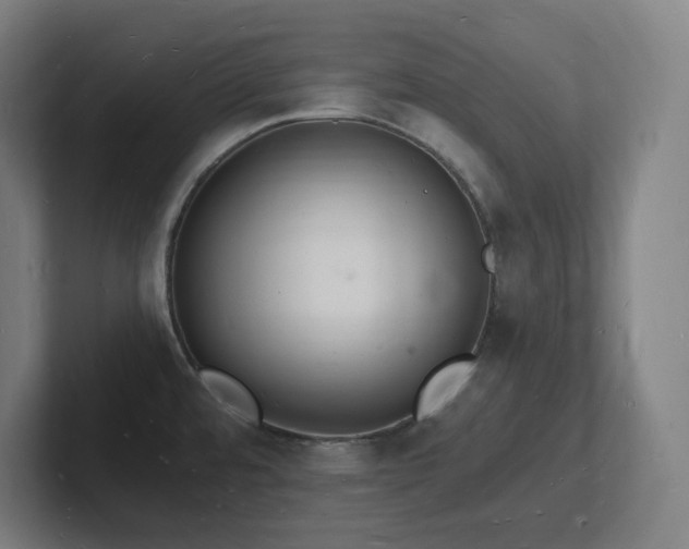 X0000102781480200808181139