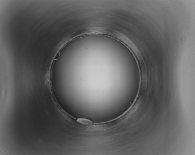 X0000102781481200808181139