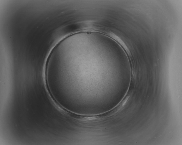 X0000102781482200808181139