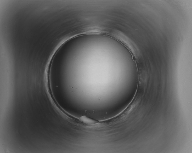 X0000102781483200808181139