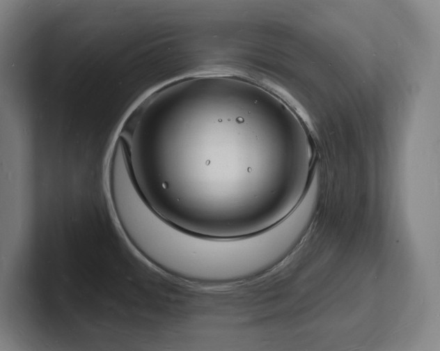 X0000102781484200808181139