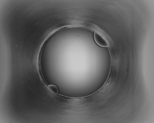 X0000102781485200808181139