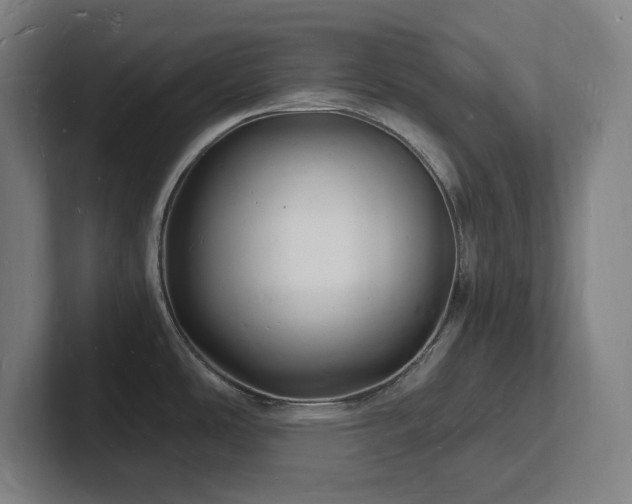 X0000102781486200808181139