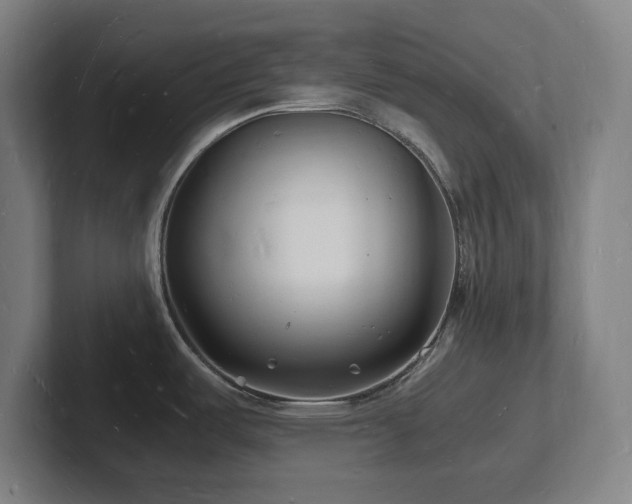 X0000102781487200808181139