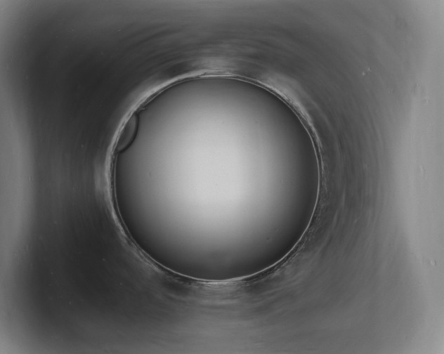 X0000102781488200808181139