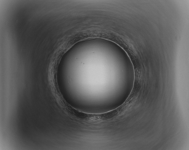 X0000102781489200808181139