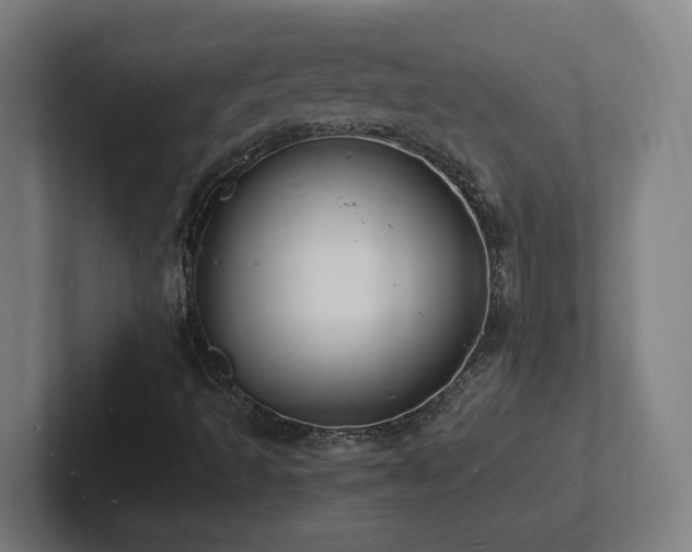 X0000102781493200808181139