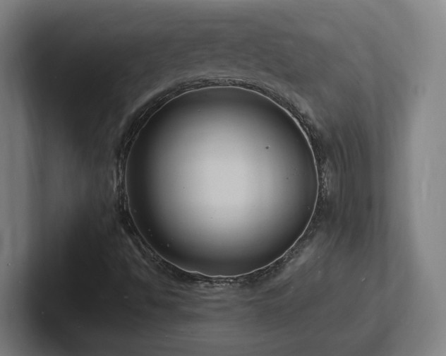 X0000102781494200808181139