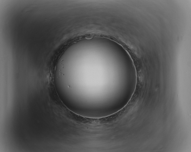 X0000102781495200808181139