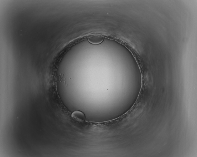 X0000102781496200808181139