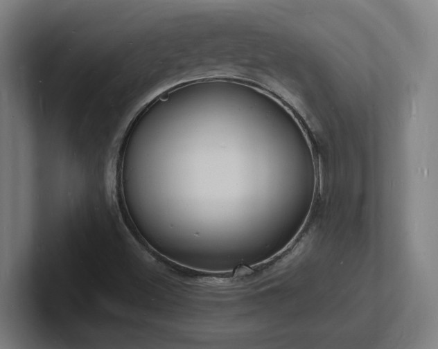 X0000102781500200808181139