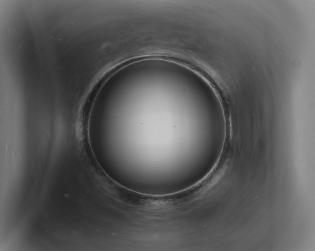 X0000102781501200808181139