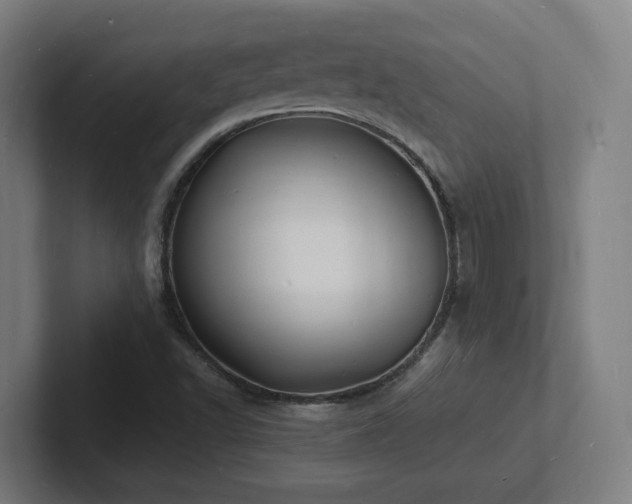 X0000102781502200808181139