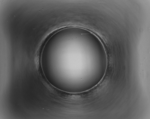 X0000102781503200808181139