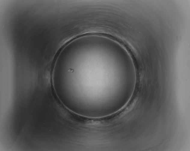 X0000102781505200808181139