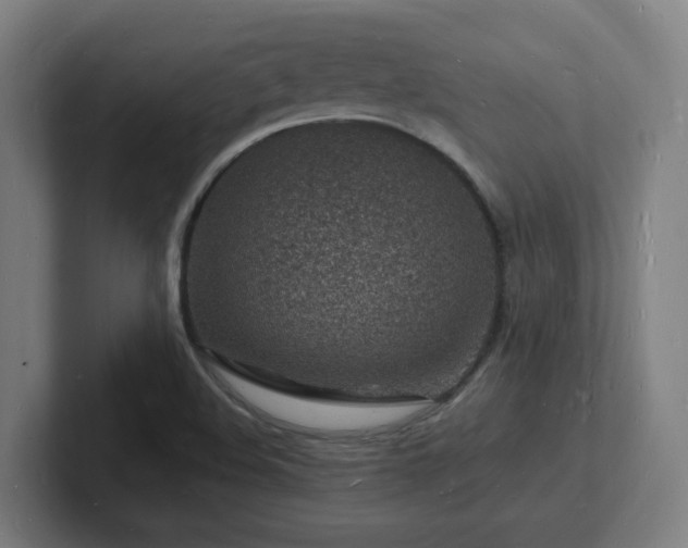 X0000102781508200808181139