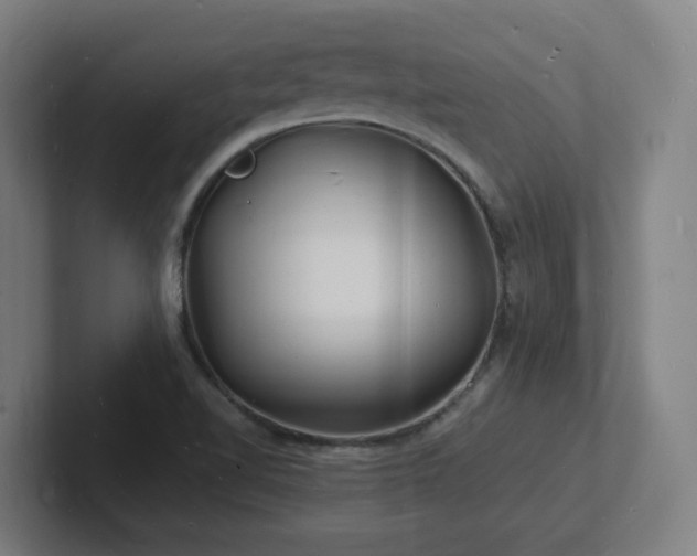 X0000102781510200808181139