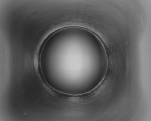 X0000102781511200808181139