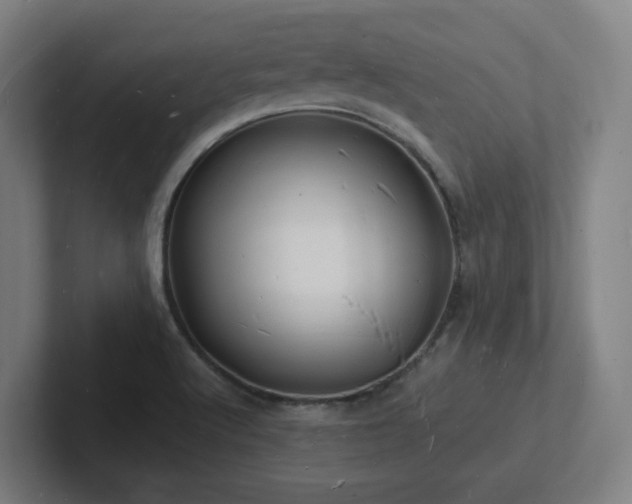 X0000102781512200808181139