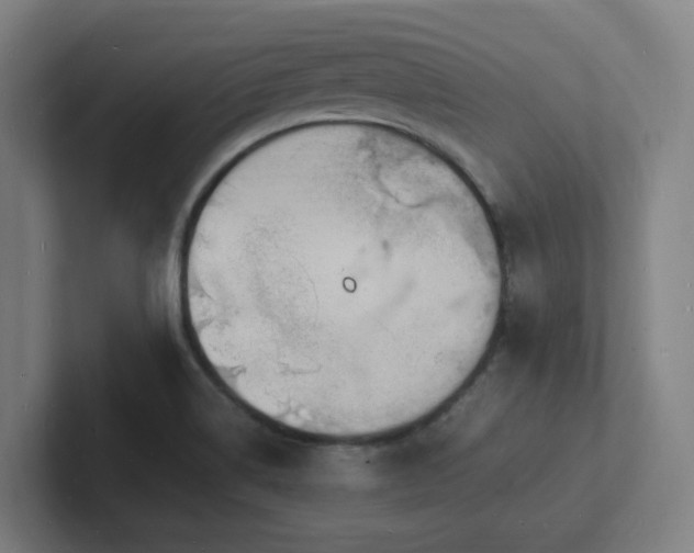 X0000102781514200808181139