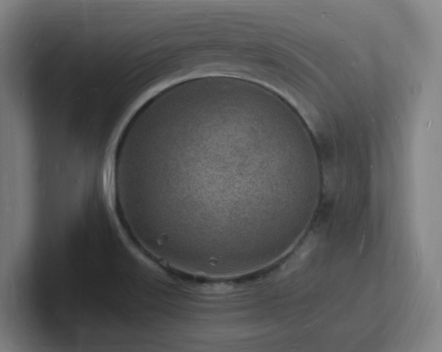 X0000102781515200808181139