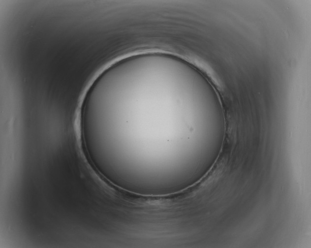 X0000102781516200808181139