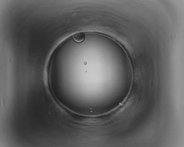 X0000102781517200808181139