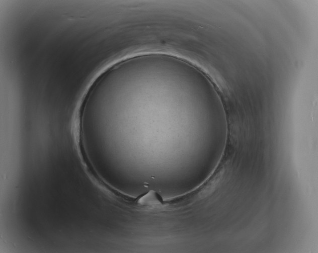 X0000102781519200808181139