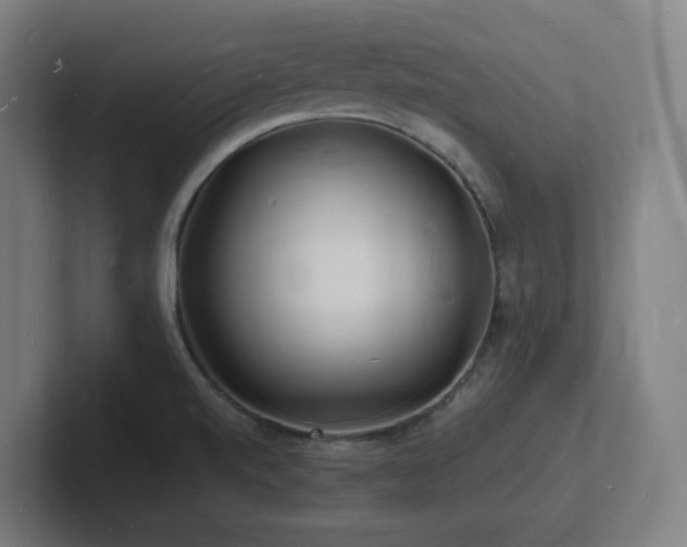 X0000102781520200808181139