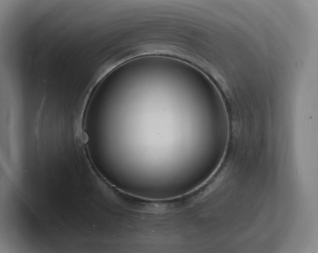 X0000102781521200808181139