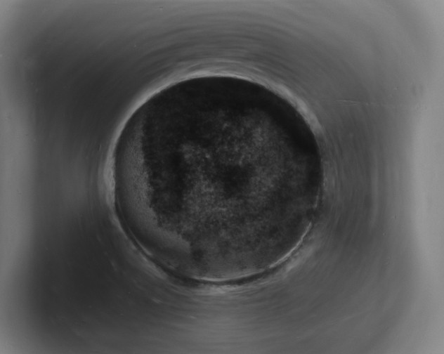 X0000102781522200808181139