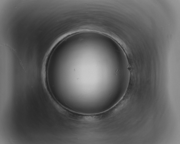 X0000102781523200808181139