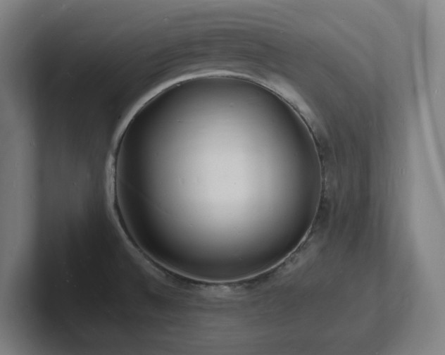 X0000102781524200808181139