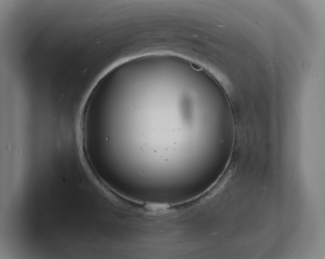 X0000102781526200808181139