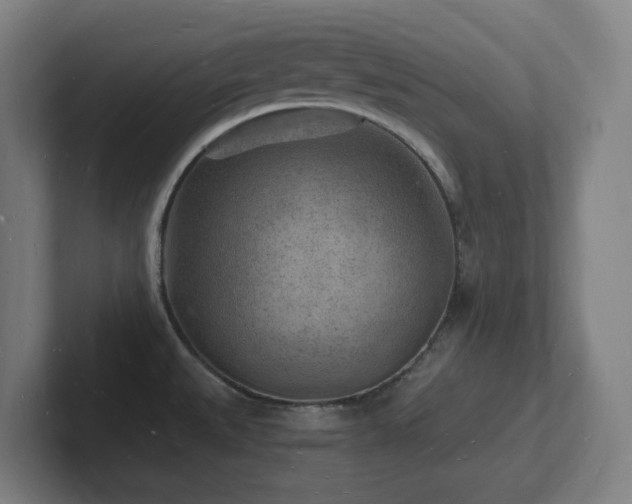 X0000102781527200808181139