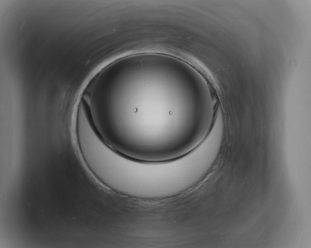 X0000102781528200808181139