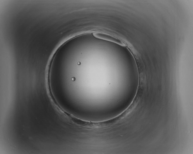 X0000102781530200808181139