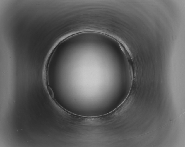 X0000102781531200808181139