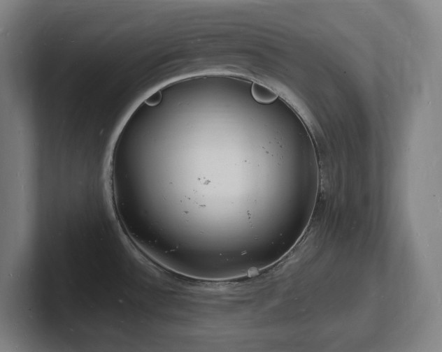 X0000102781532200808181139