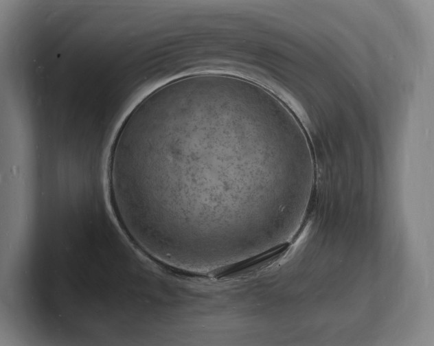 X0000102781533200808181139