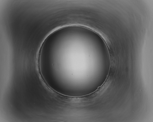 X0000102781534200808181139