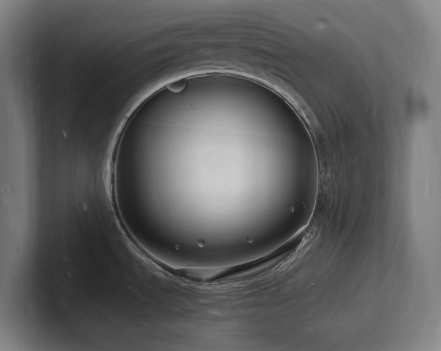 X0000102781535200808181139