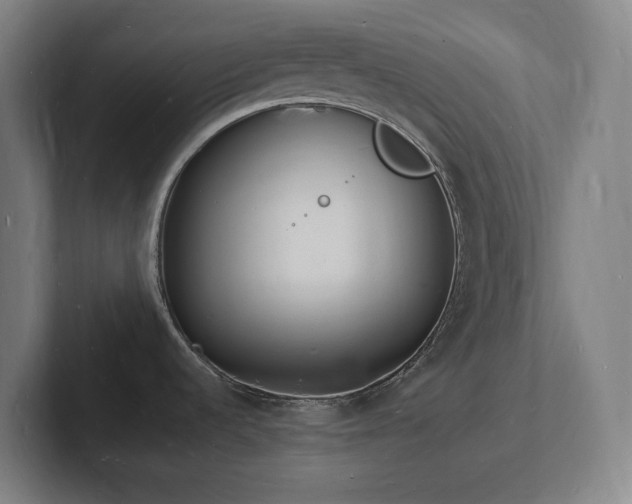 X0000102781536200808181139