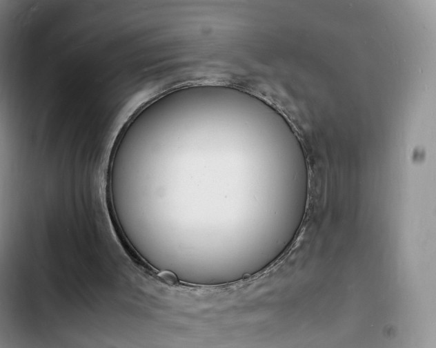 X0000102780003200808251127