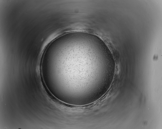 X0000102780004200808251127